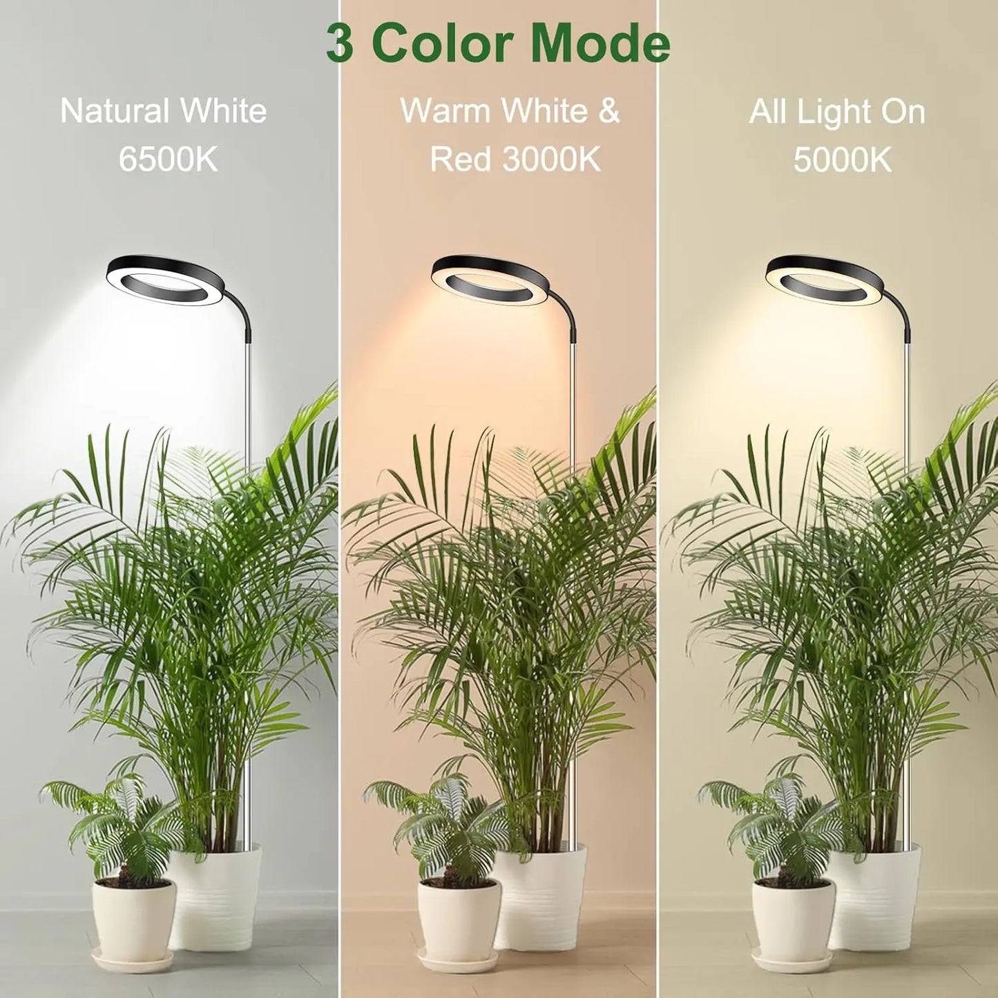 GrowRise Spectrum Light